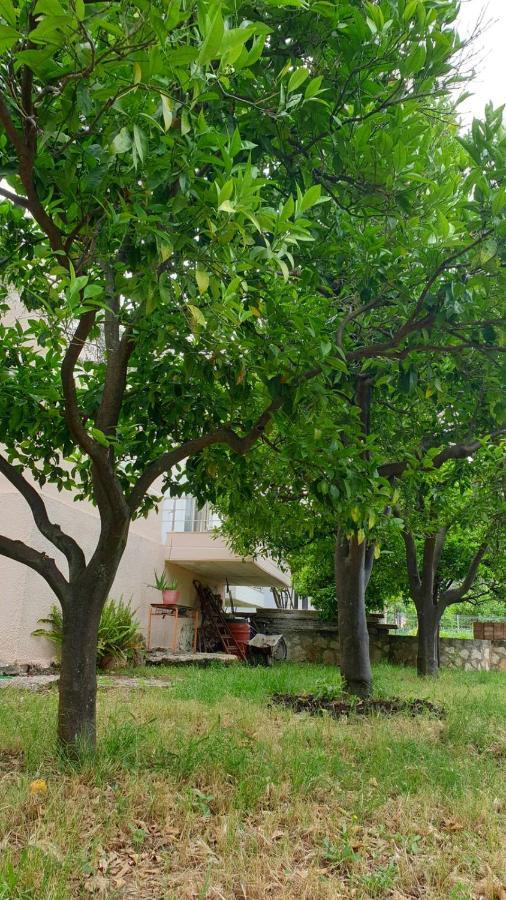 Vila Noga Борш Екстериор снимка